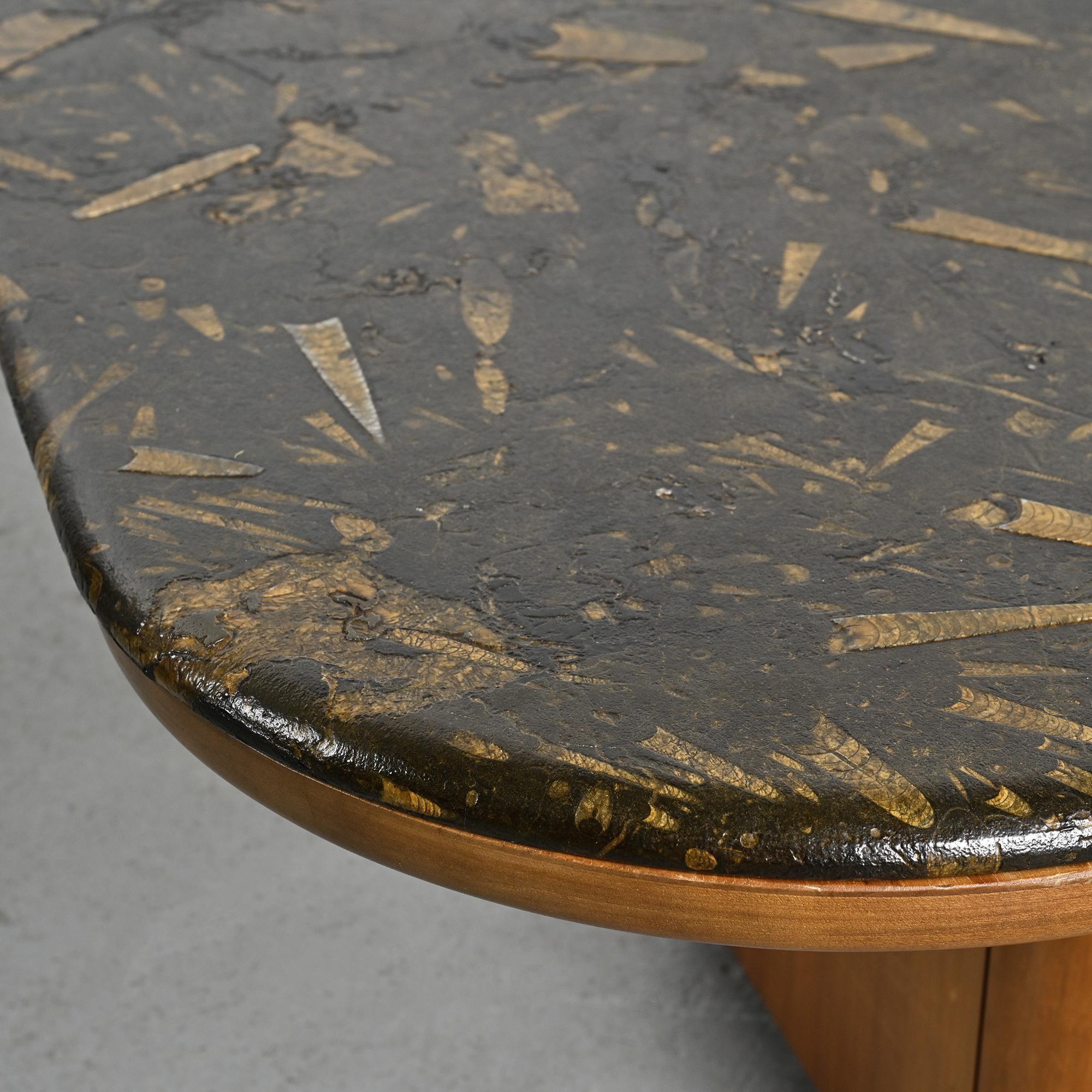 Fossil stone coffee table, Fossile collection, Switzerland, circa 1980.