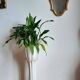 Planter pot on stand in earthenware, vintage Italy