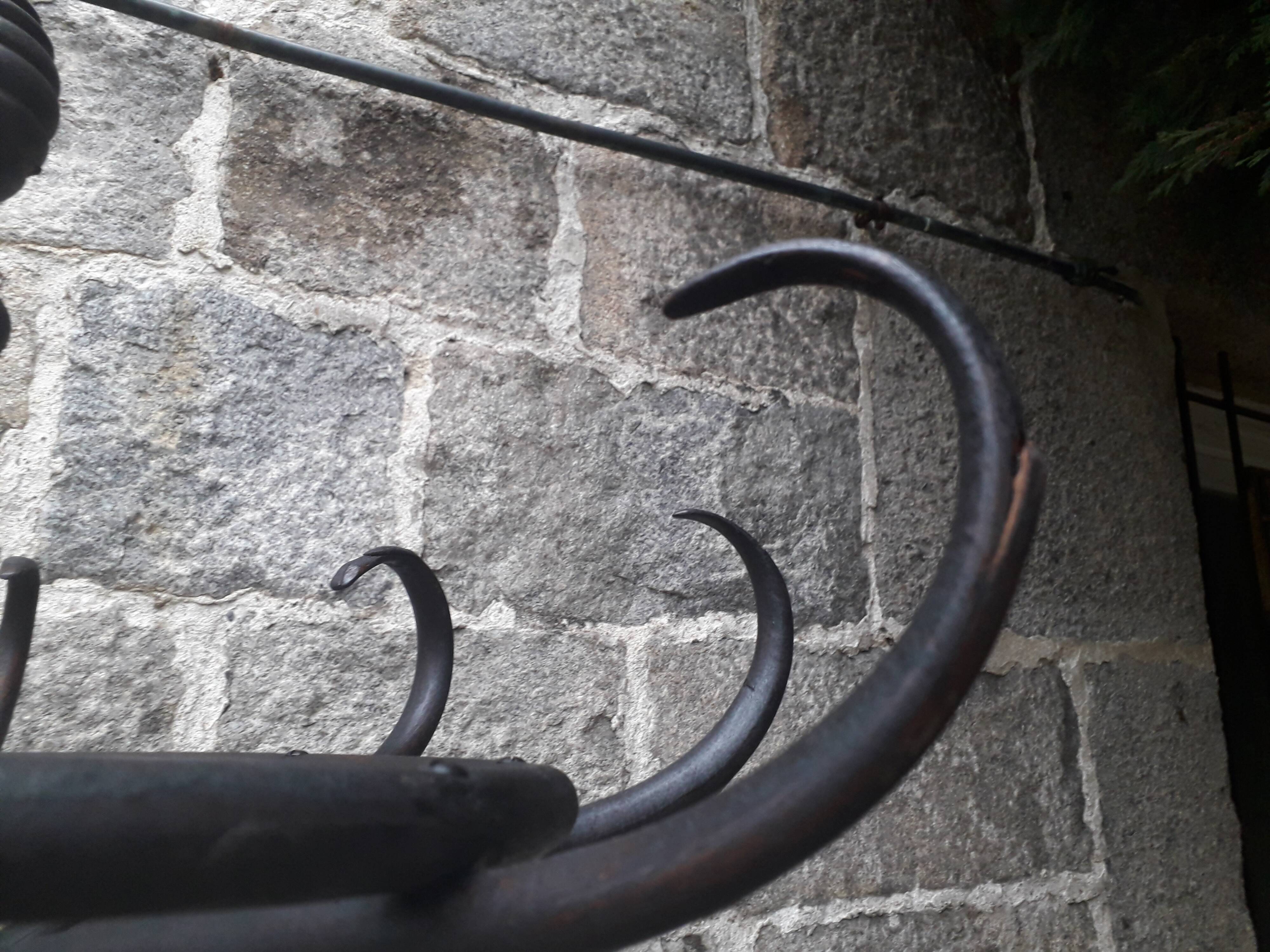 Parrot coat rack