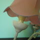 Lasuffed white metal suspension - 3 pink lampshades