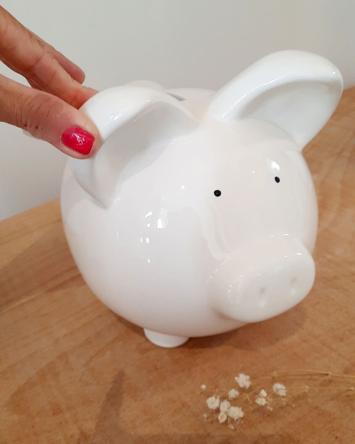 Piggy bank