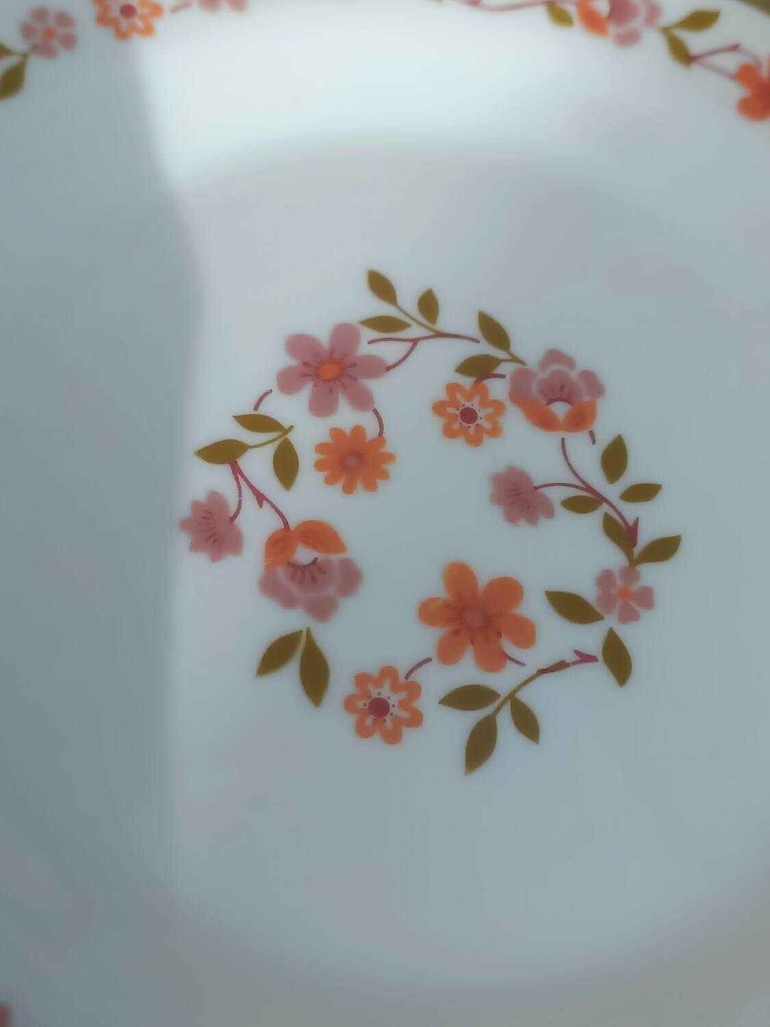 10 vintage Scania dessert plates