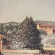 Canvas of Sarazanas, Provençal farmhouse