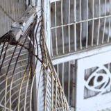Great aviary bird cage nineteenth century