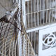 Great aviary bird cage nineteenth century