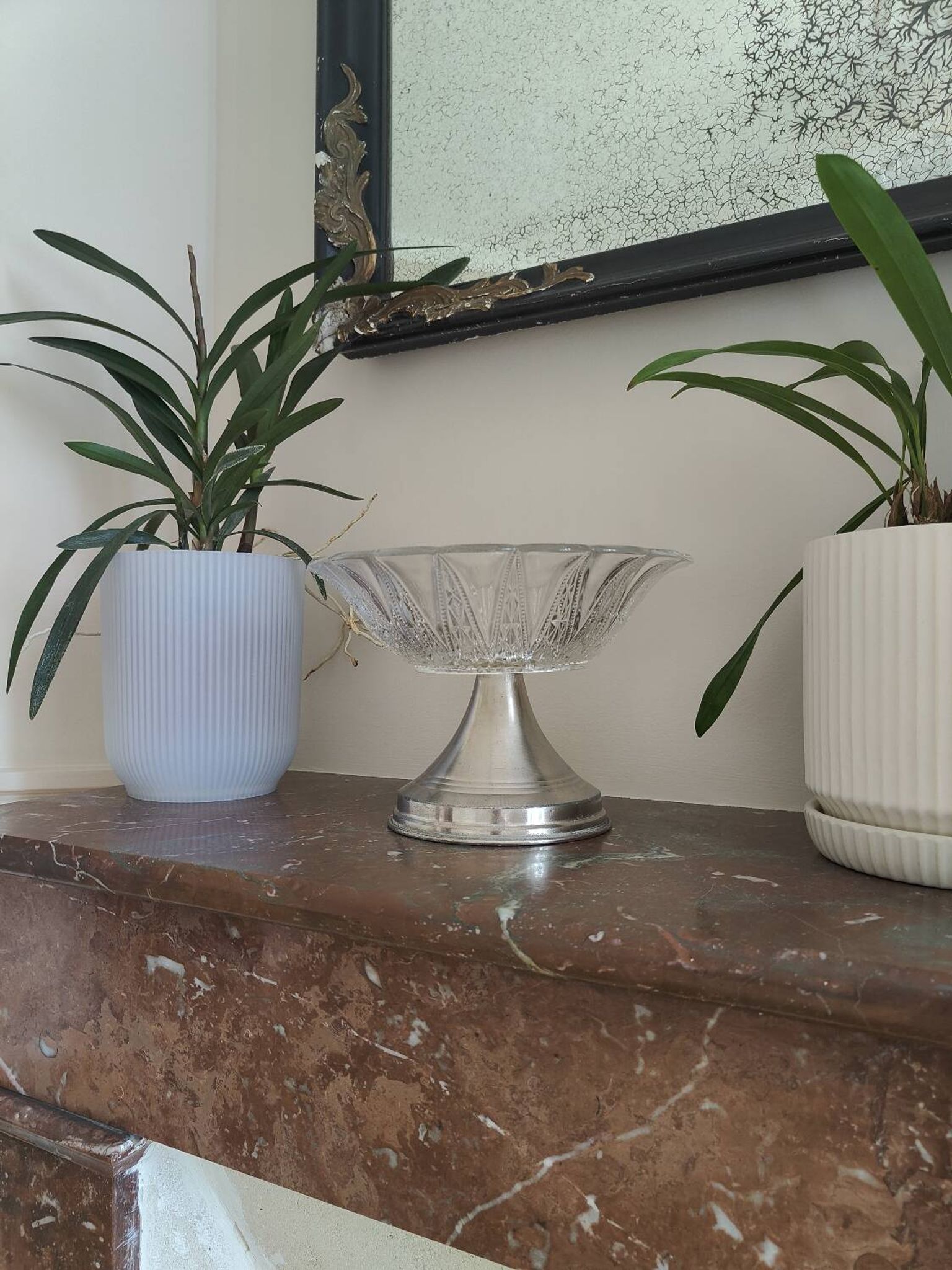 Fruit bowl