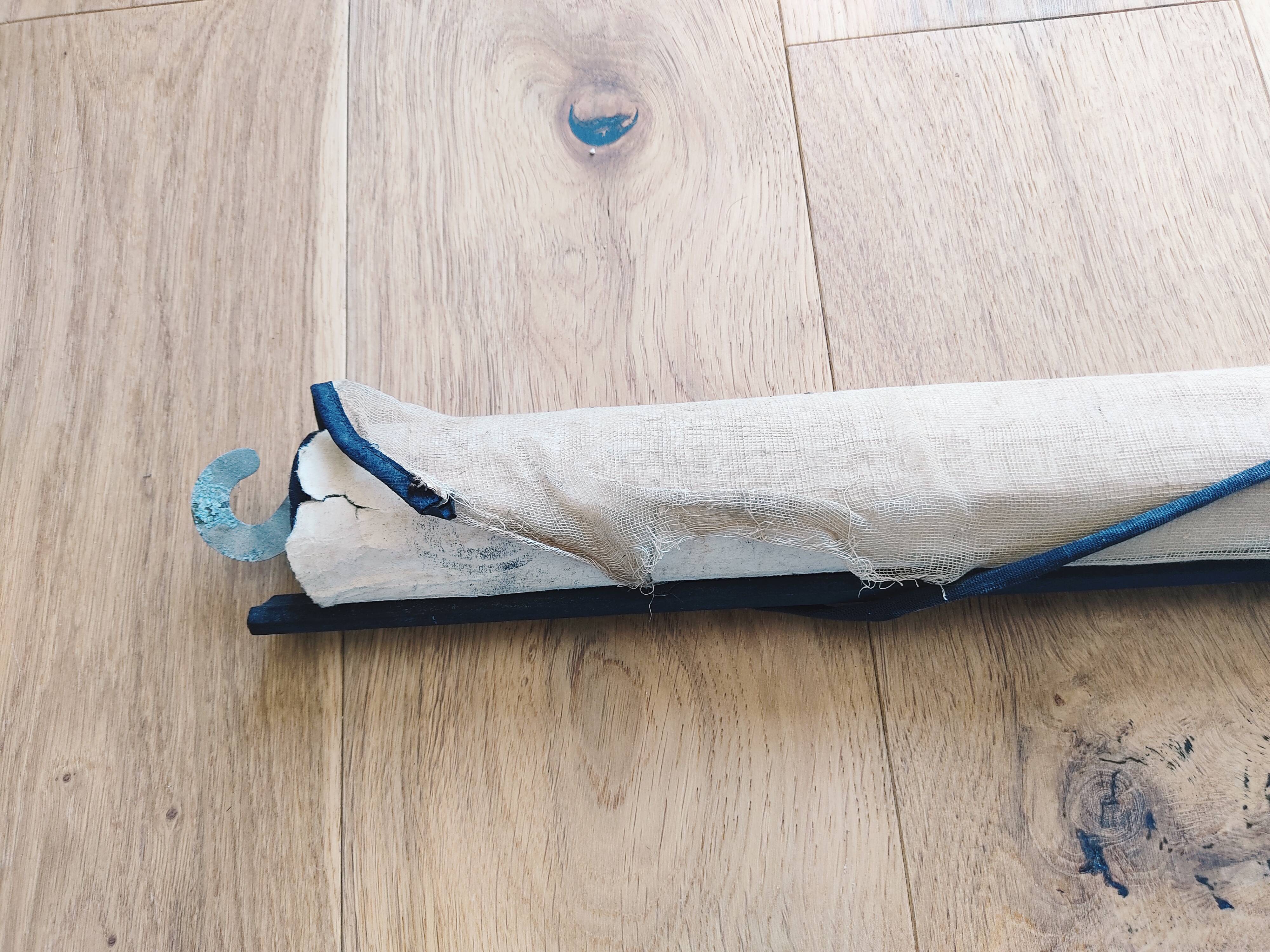 Educational poster La Moëlle épinière Auzoux P. Sougy