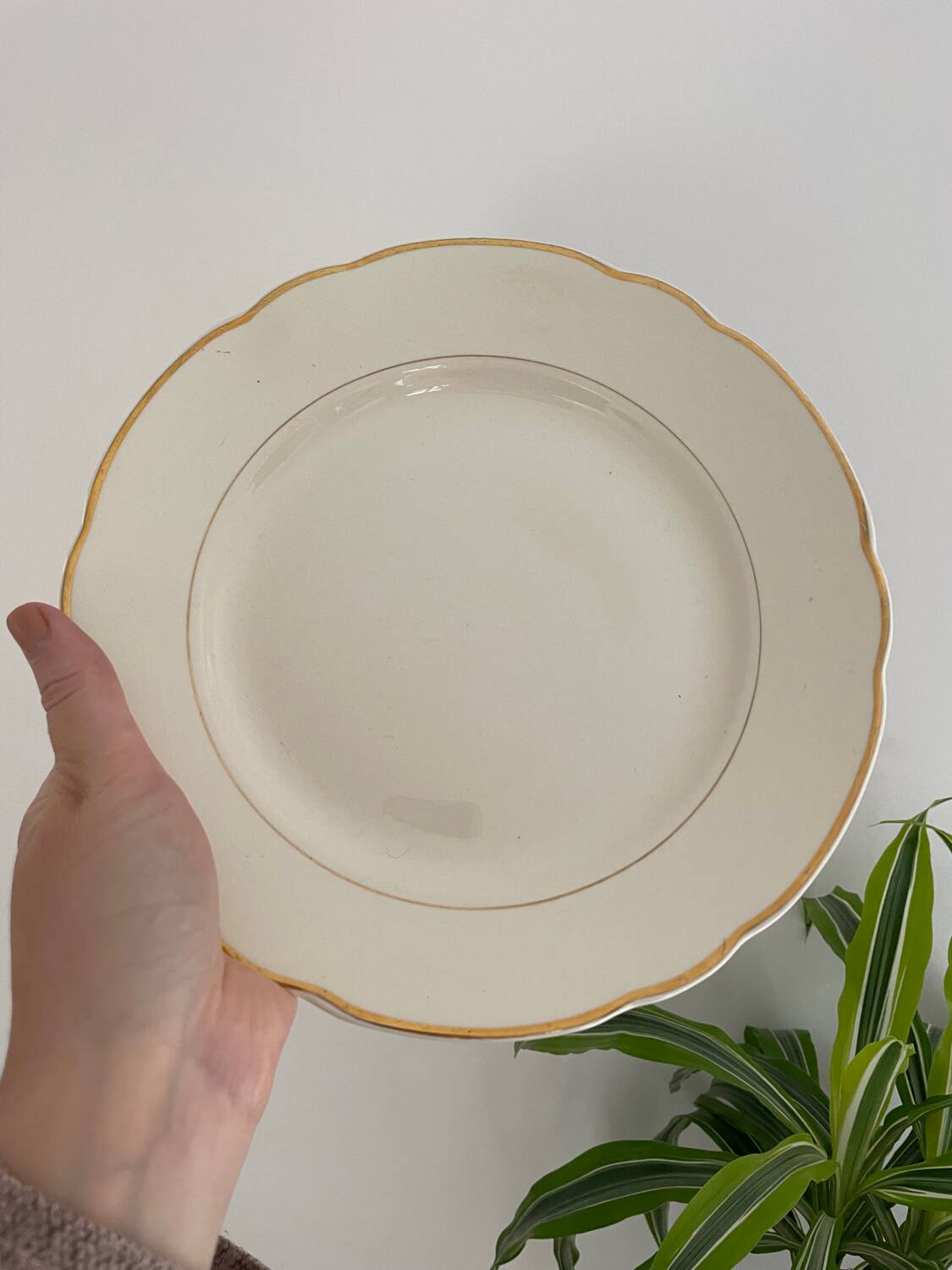 Villeroy plates