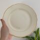 Villeroy plates