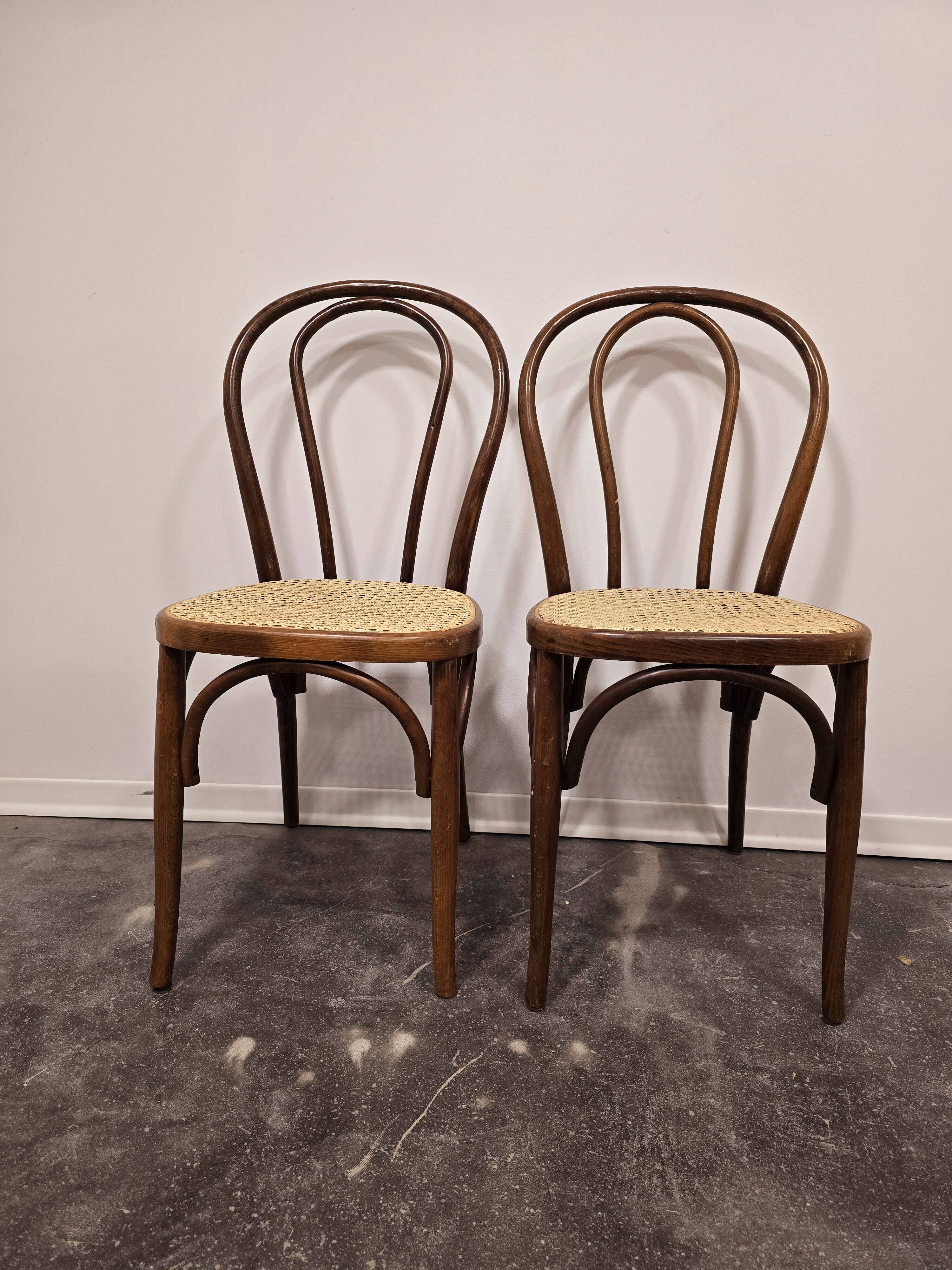 Bois courbé n° 18, années 1960 1 sur 2