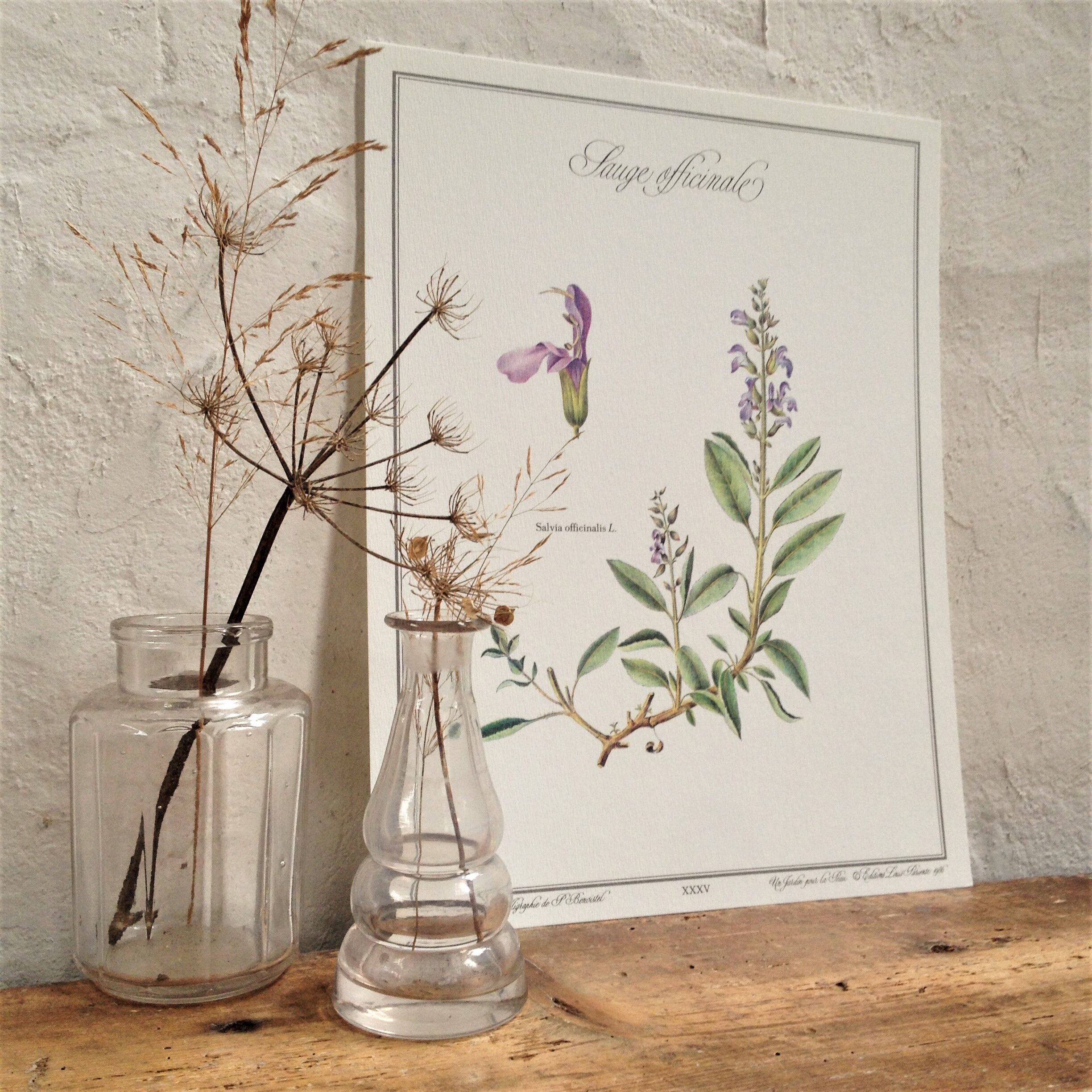 Botanical plank the sage