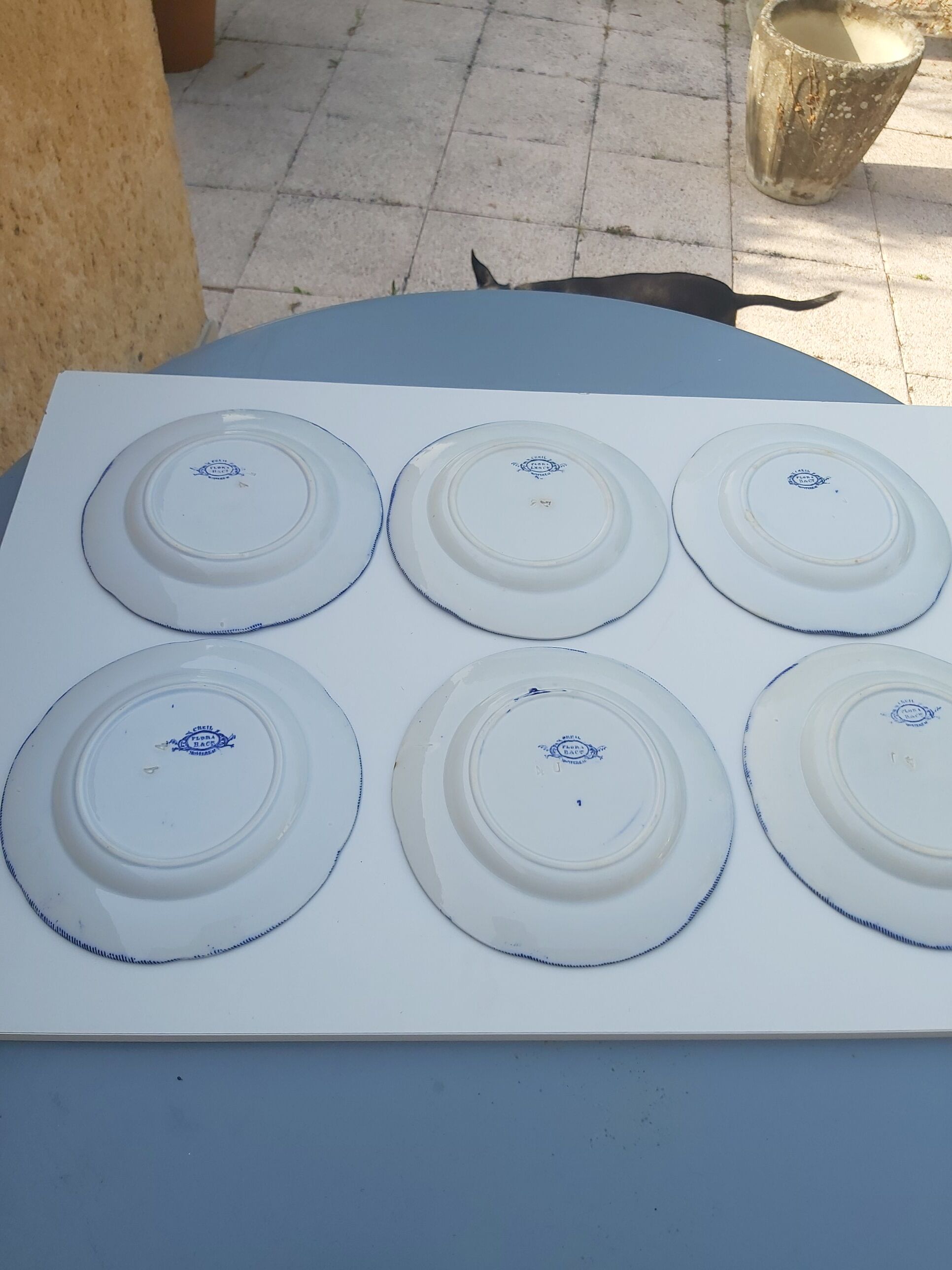 6 flat plates Creil and Montereau Flora