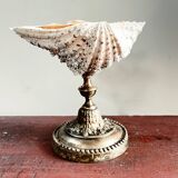 Shell-shaped dish or soap holder.