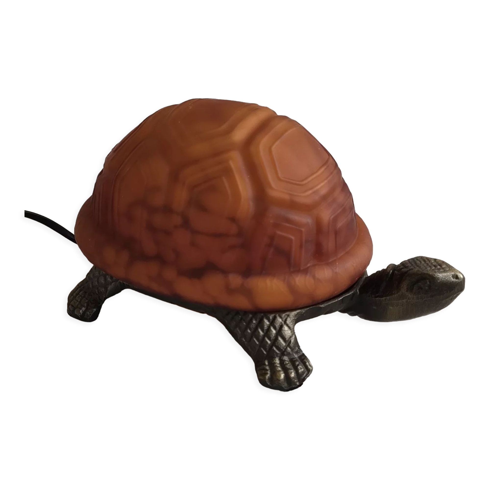 Night light turtle to pose