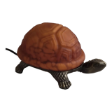 Night light turtle to pose