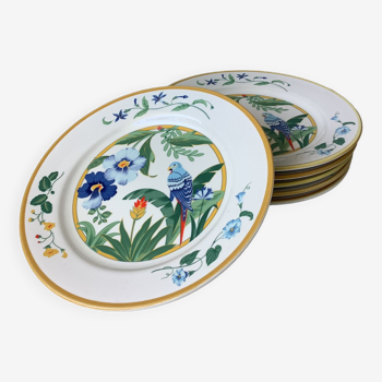 Ara Pier Import Japan Hibiscus and Parrot plates