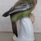 Oiseau en porcelaine