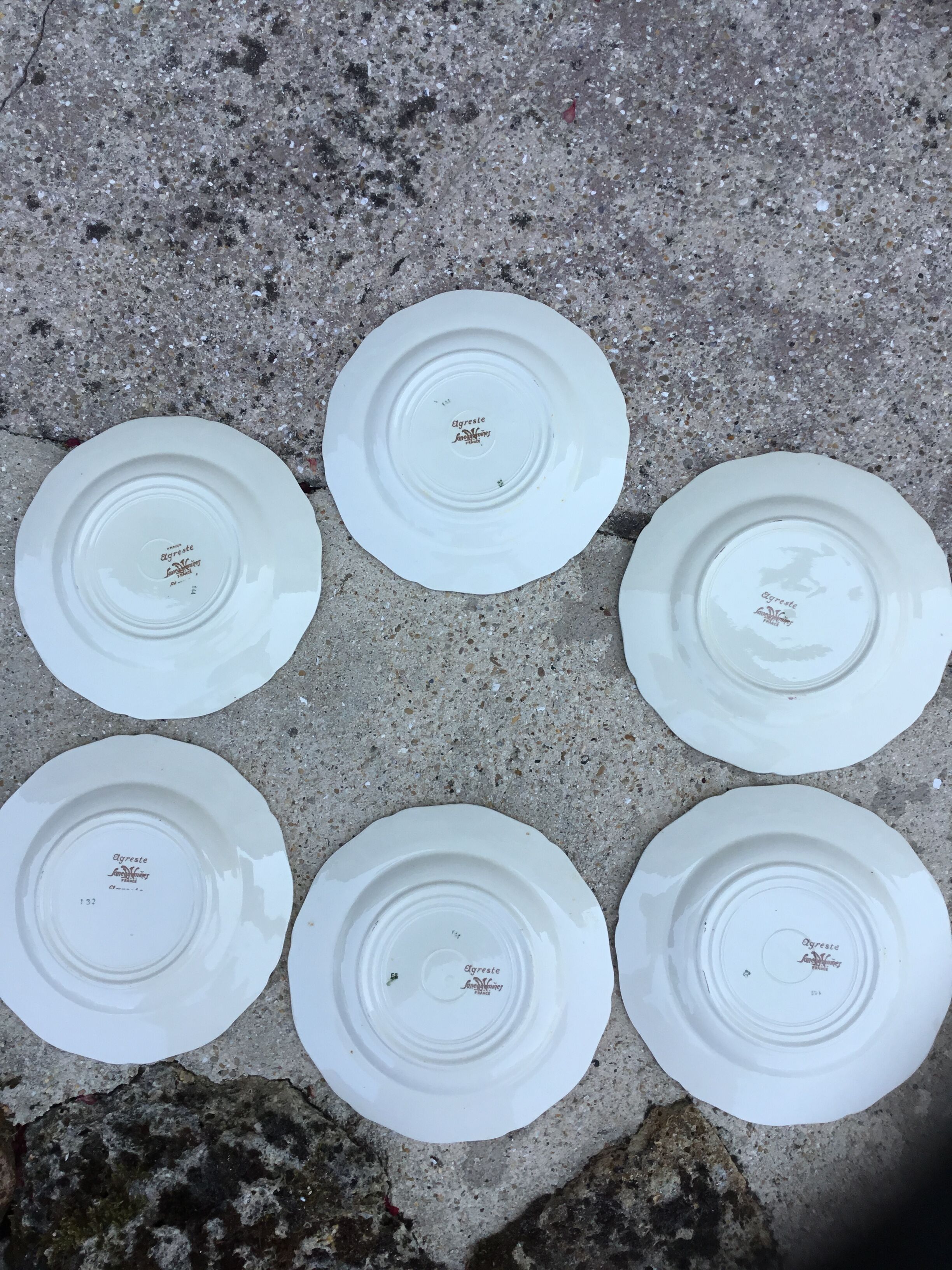 6 Dessert plates Agreste Sarreguemines