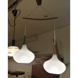 Double luminaire
