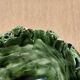 Cabbage leaf slip cut