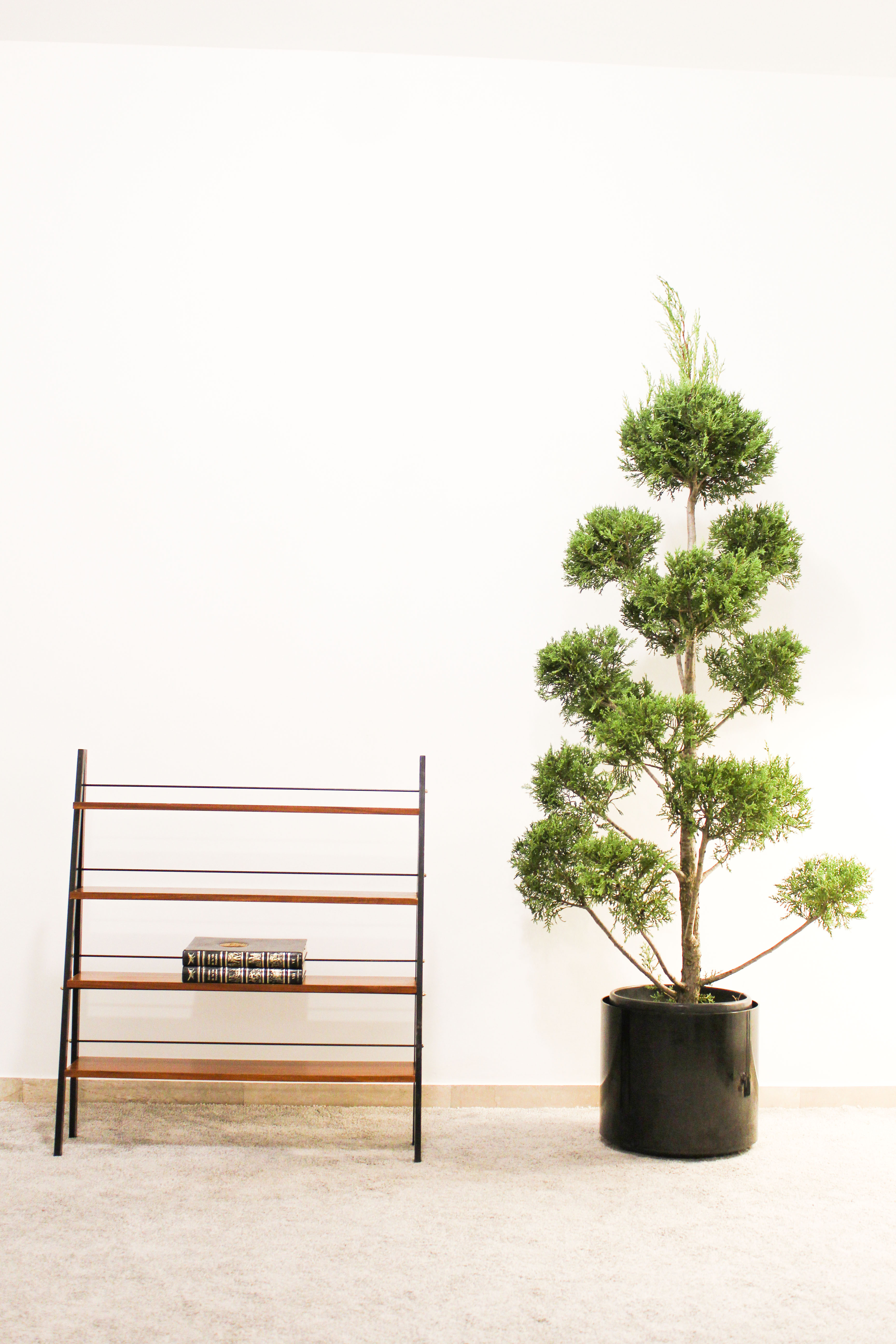 Scandinavian ladder shelves in teak and iron, Italy 50s