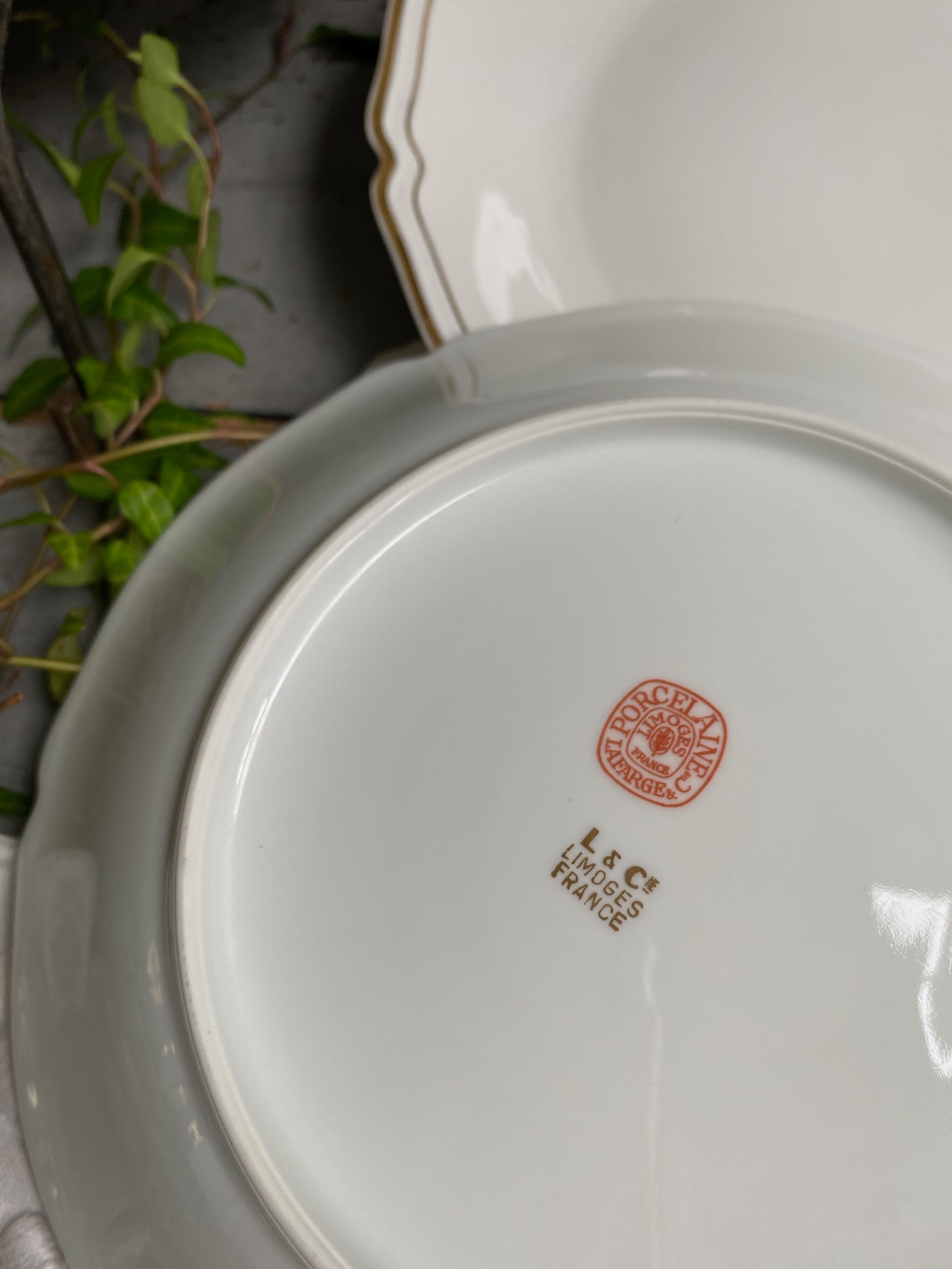 Hollow plates Limoges porcelain