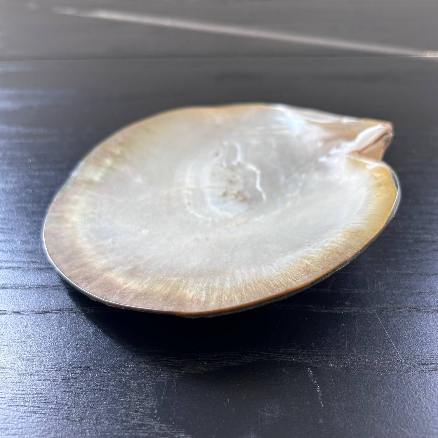 Mother-of-pearl shell emptier