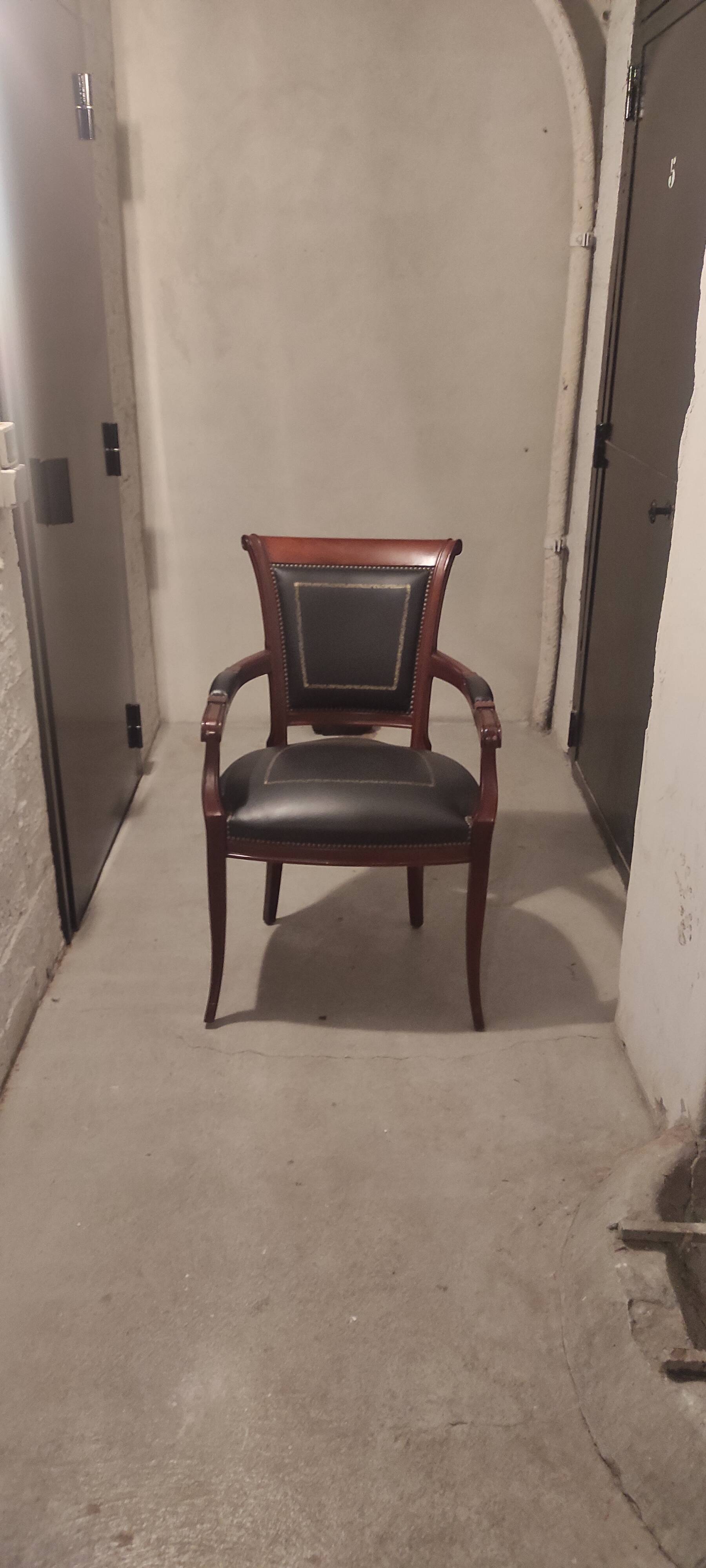 Genoveva armchairs directoire style black leather border gold