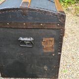 Old curved trunk