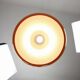 Mid-Century Modern Cabras Lamp by Luigi Massoni for Guzzini, 1960s