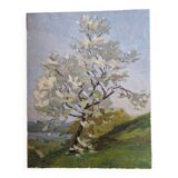 Tableau peinture
