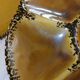 8 old GIEN oyster plates + 2 serving dishes