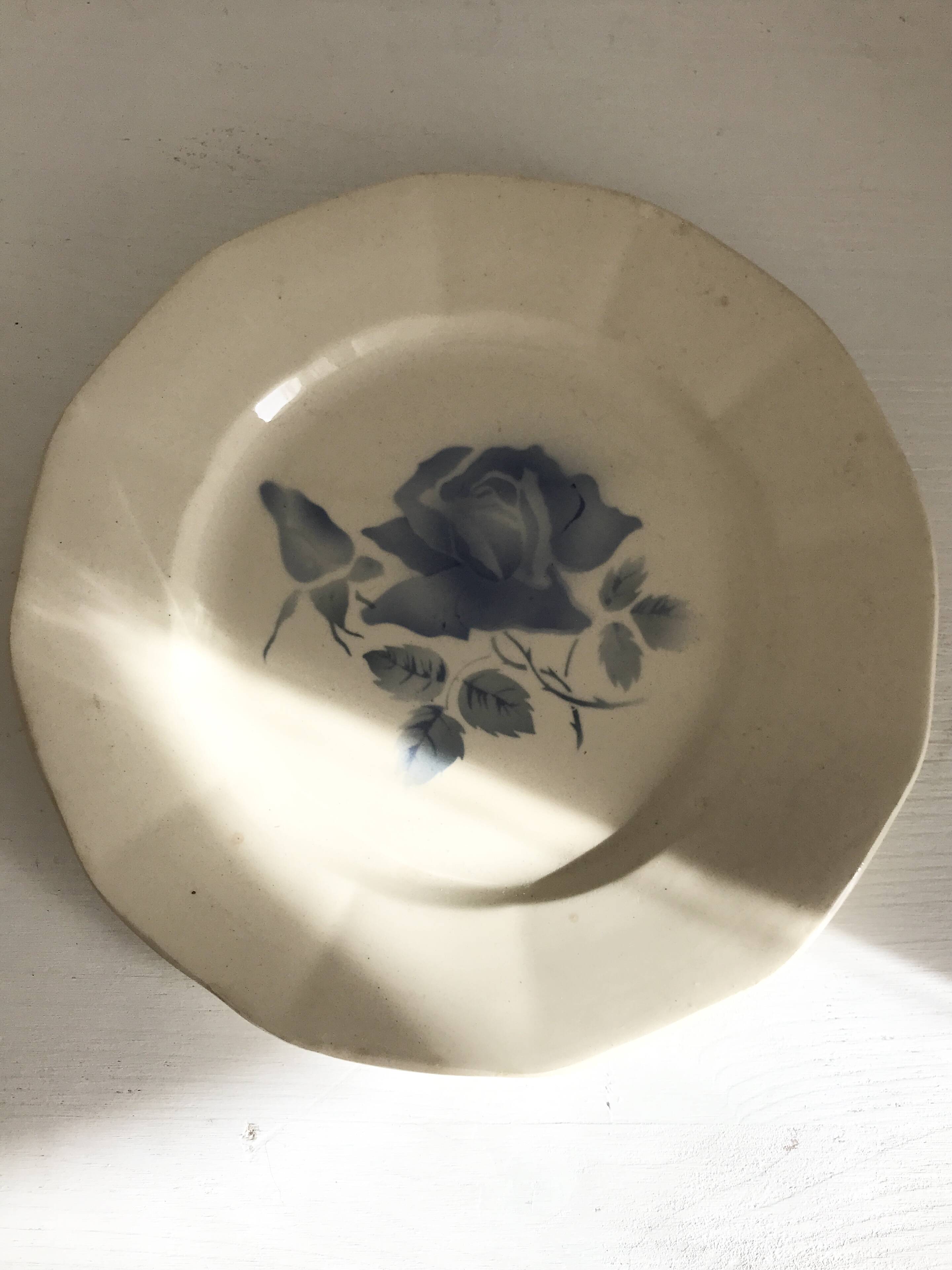 Set of 11 Digoin flat plates, blue rose patterns