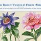 Poster featuring passionflower, peony, petunia and phlox