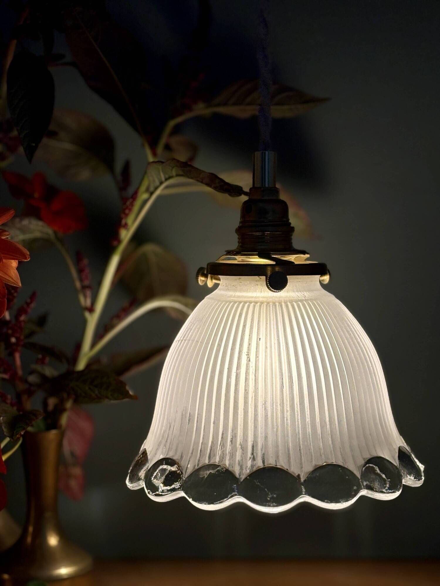 Vintage tulip suspension in frosted glass (TFB1)