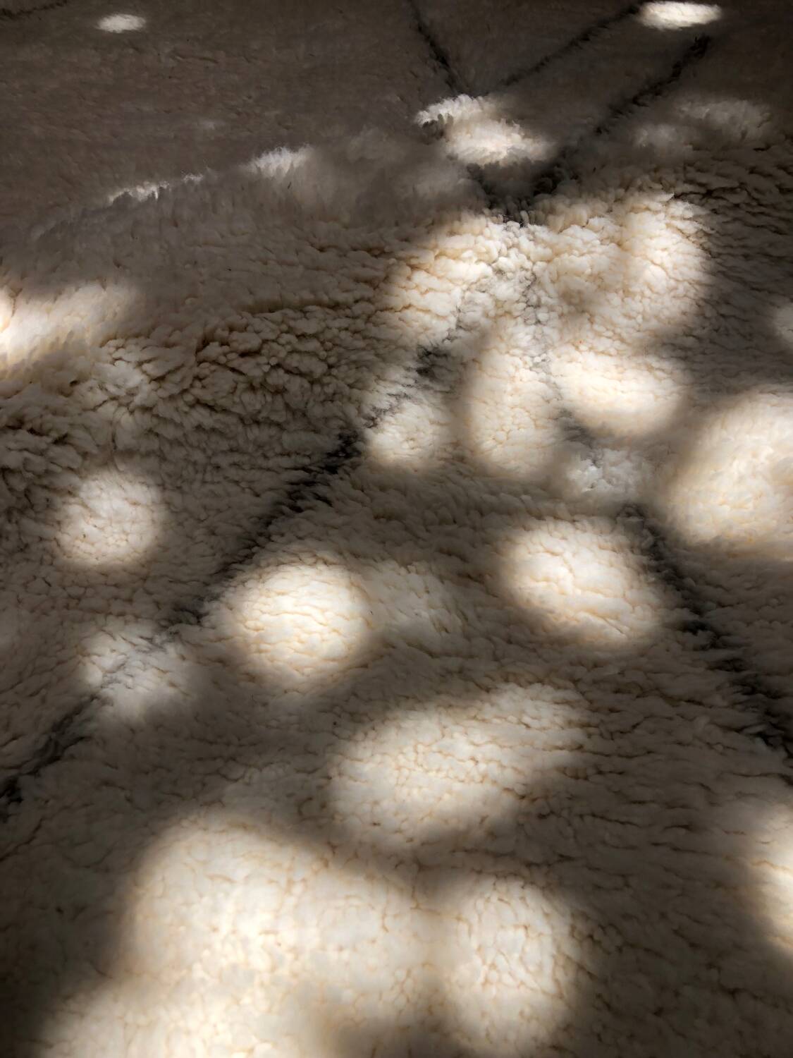 Grisoro rug 165x260cm