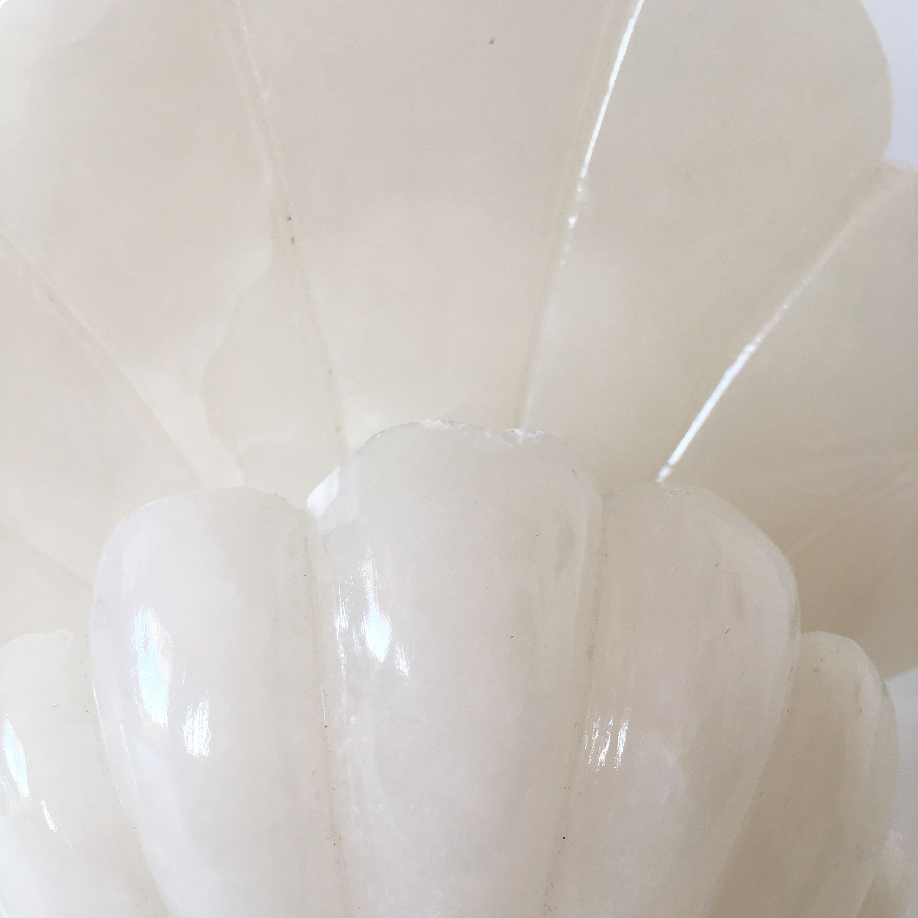 Alabaster shell lamp