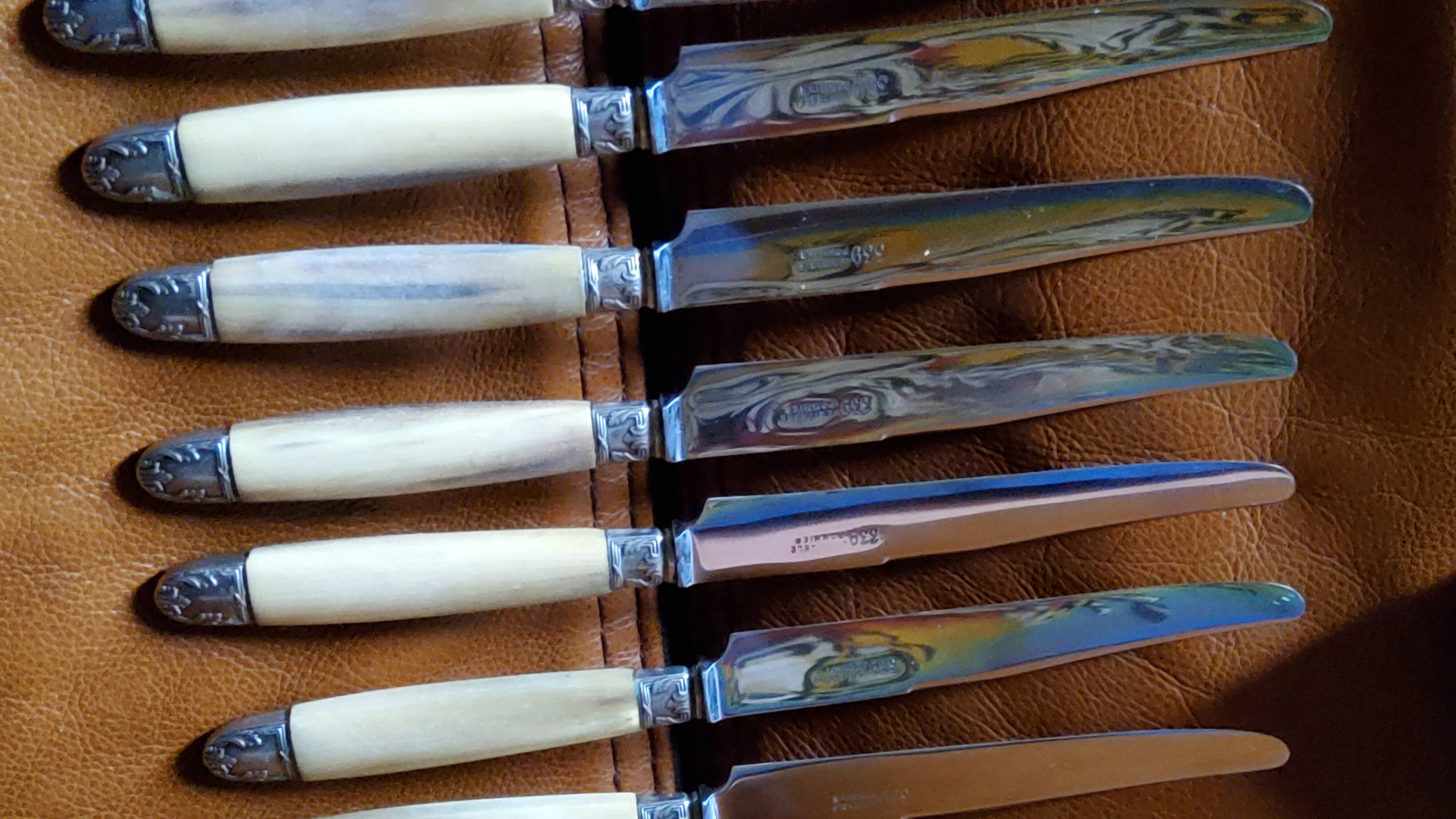 Box of 12 table knives goldsmith Apple handle horn and silver metal