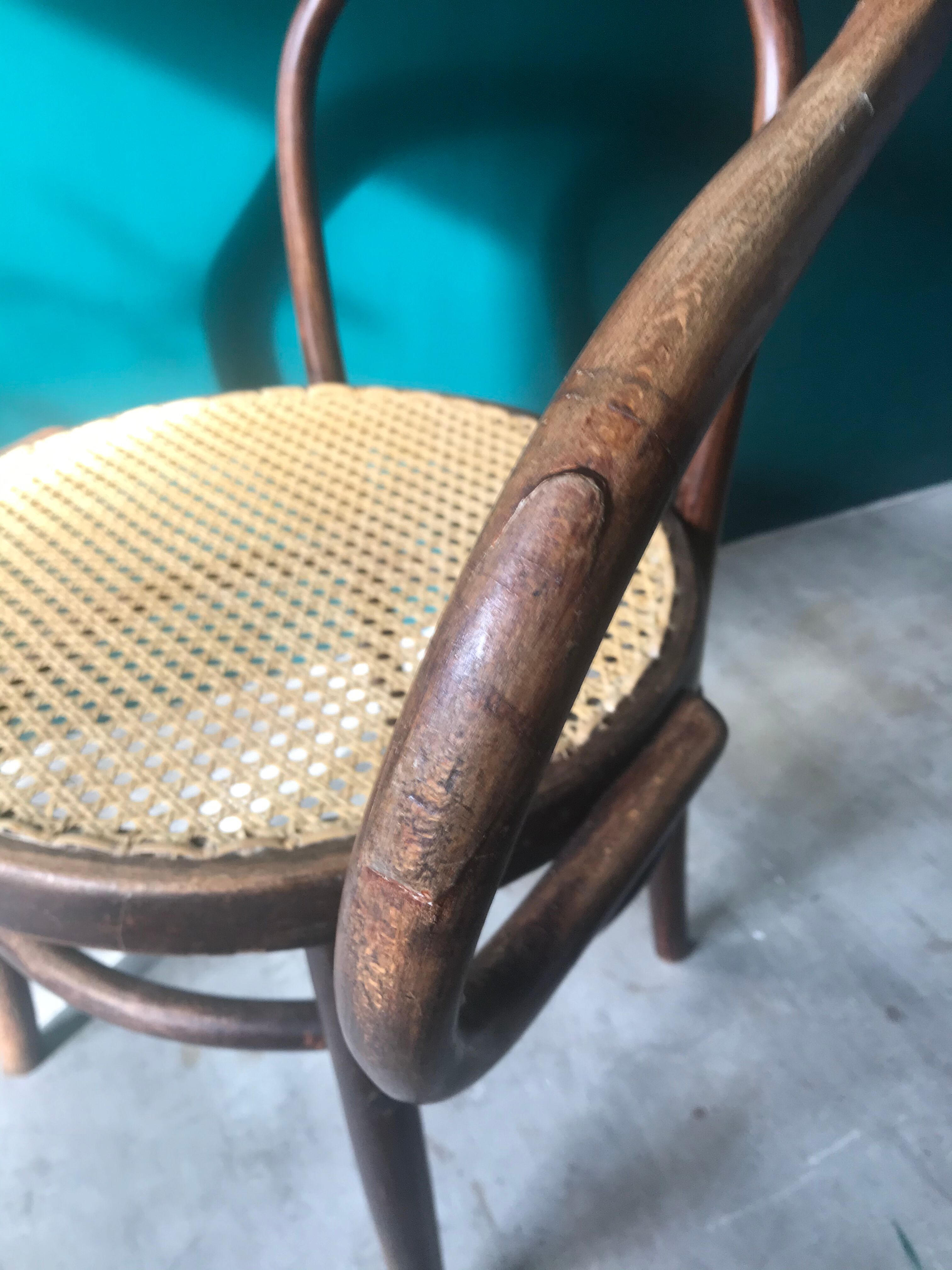 Mundus chair in curved wood