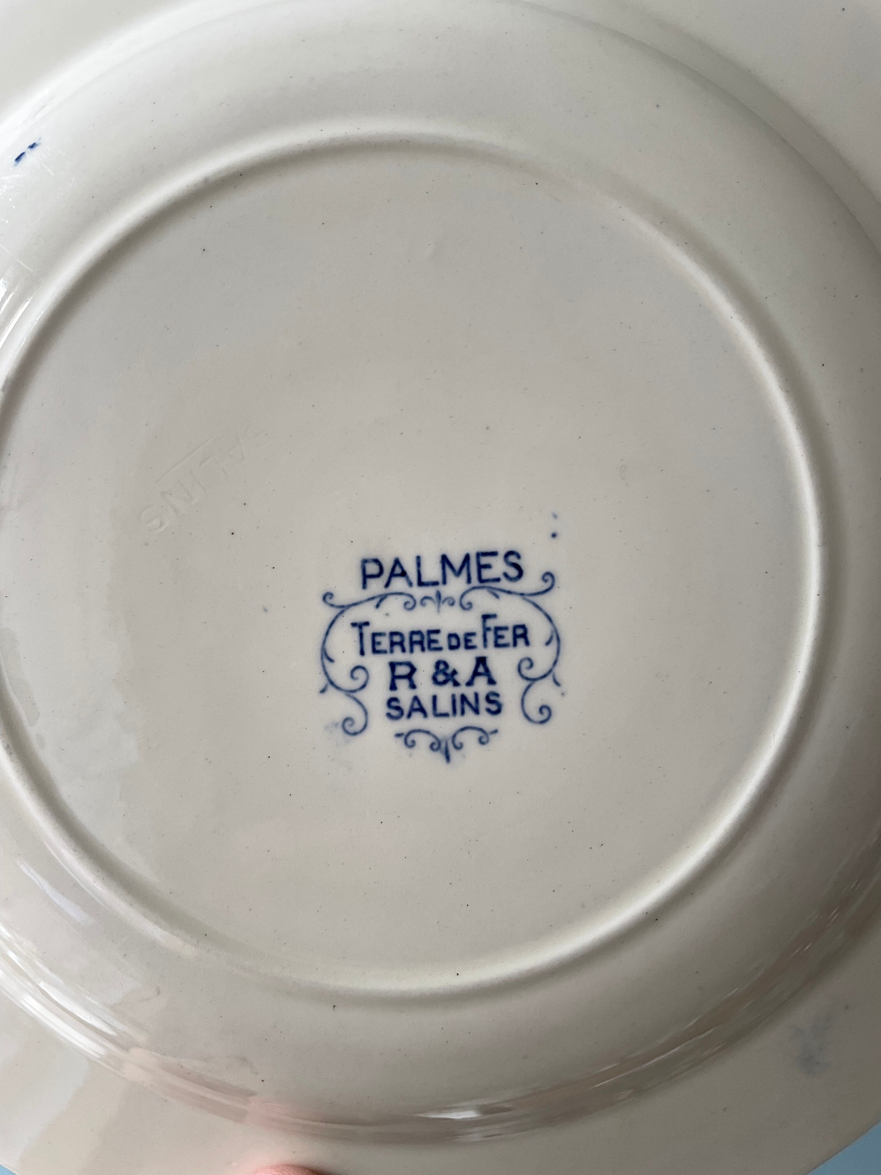 Set of 5 hollow plates Terre de Fer R&A Salins, model Palmes