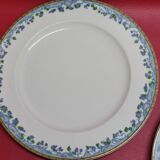 5 large flat plates guy degrenne model tuscany porcelain limoges