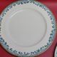 5 large flat plates guy degrenne model tuscany porcelain limoges