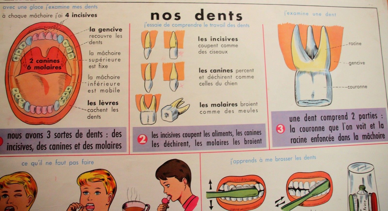 Affiche scolaire vintage MDI Nos dents et les yeux 19 et 20
