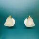 Pair of brass wall sconces and glass tulips vintage decoration lighting fixture