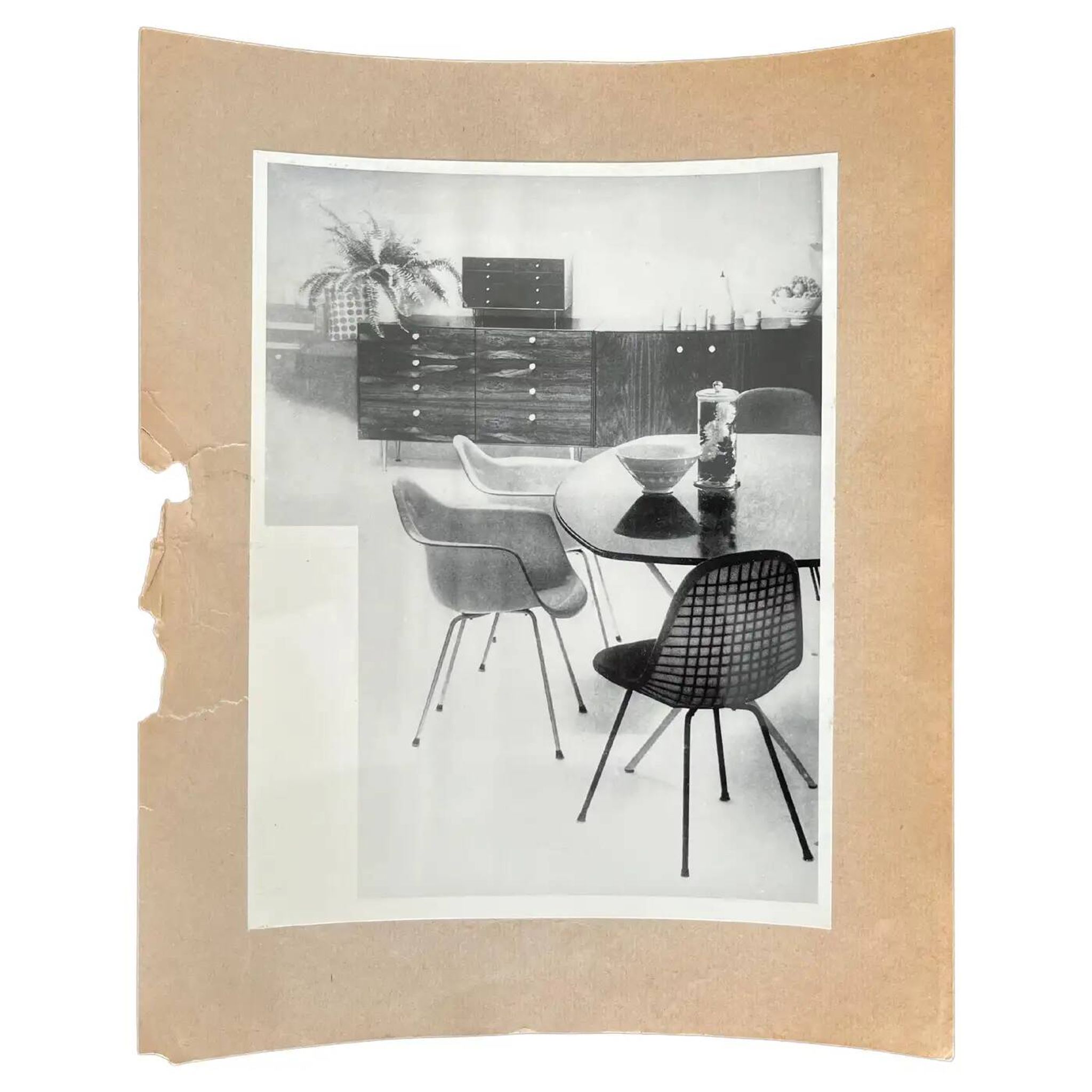Original photo of furniture / dining chairs by Herman Miller, 1953