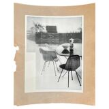 Original photo of furniture / dining chairs by Herman Miller, 1953