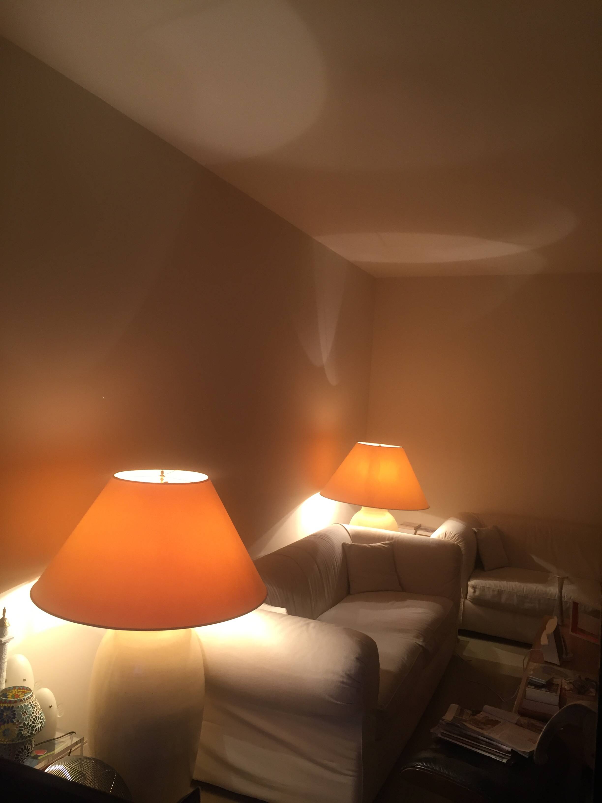 Salon lamps Jean Roger