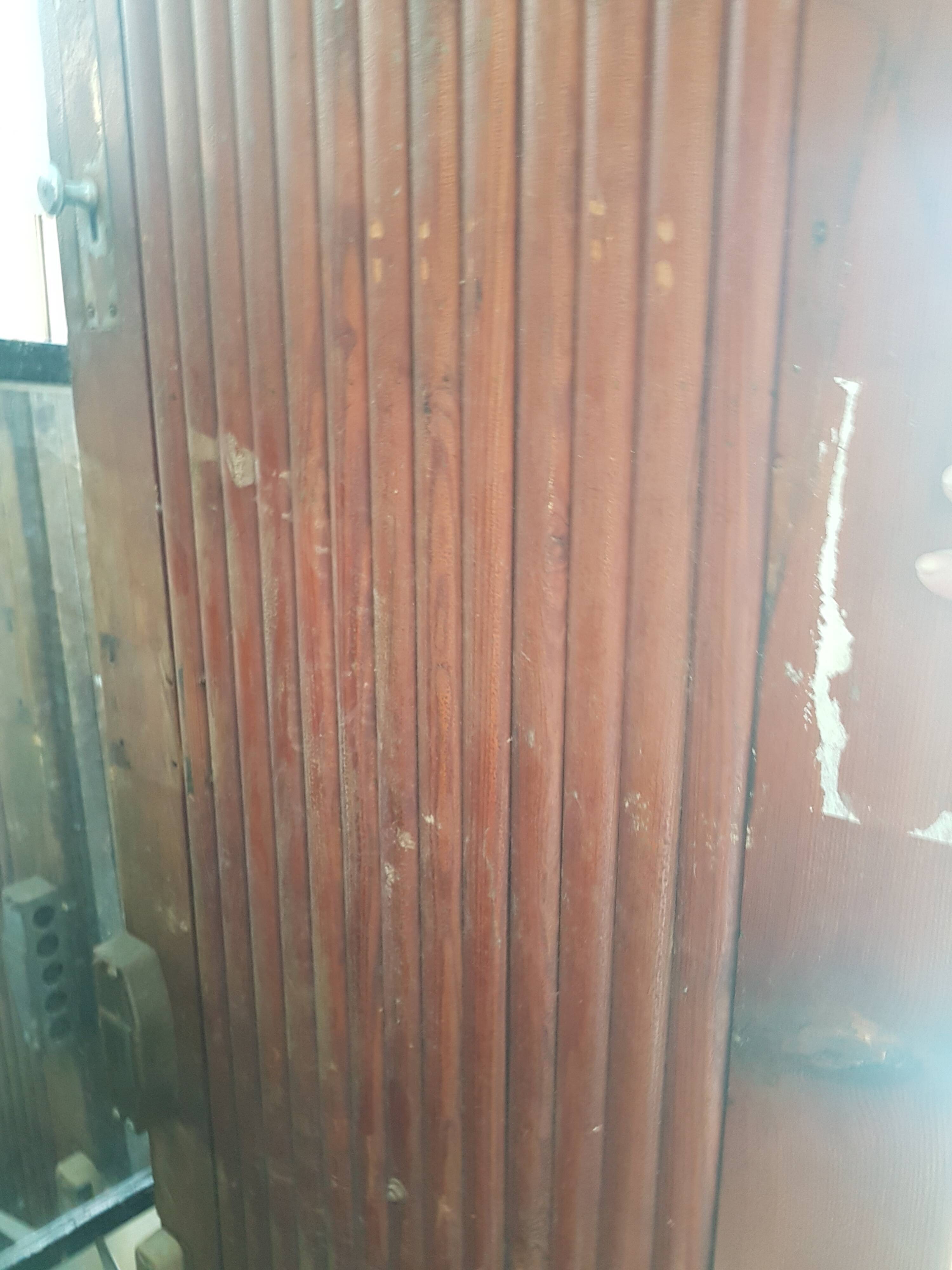 Two-pronged pitch pine bear