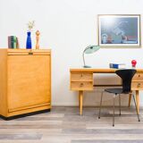 Filing cabinet, 1950s, manufacturer Ekawerk, restored