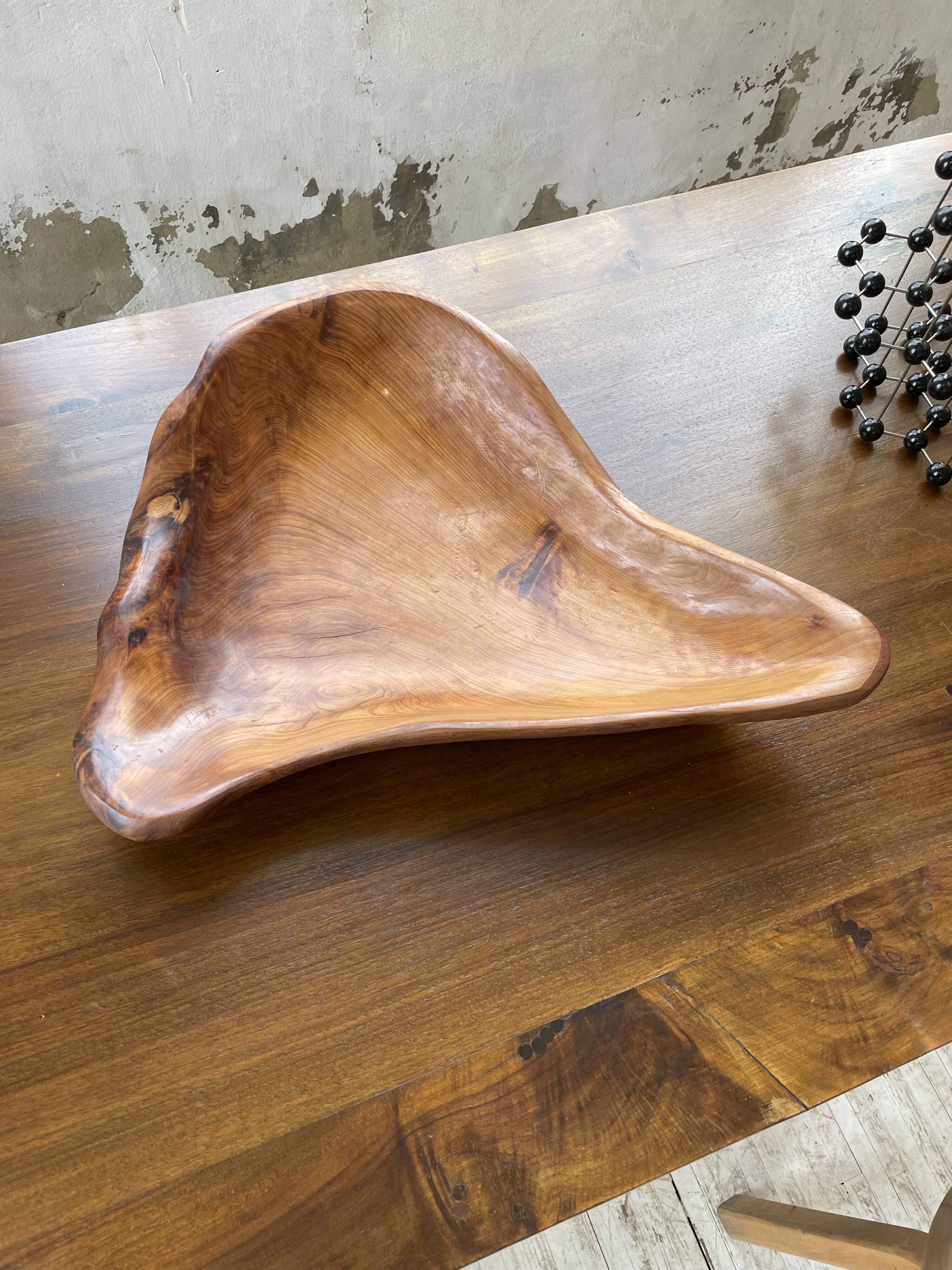XL thuja root wooden dish